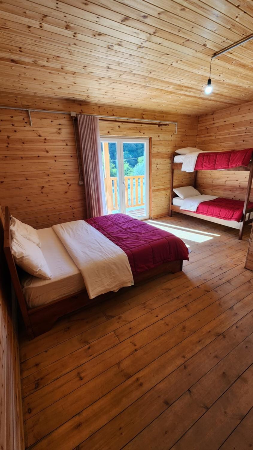 Bed, Photo of the whole room, Bedroom, bunk bed