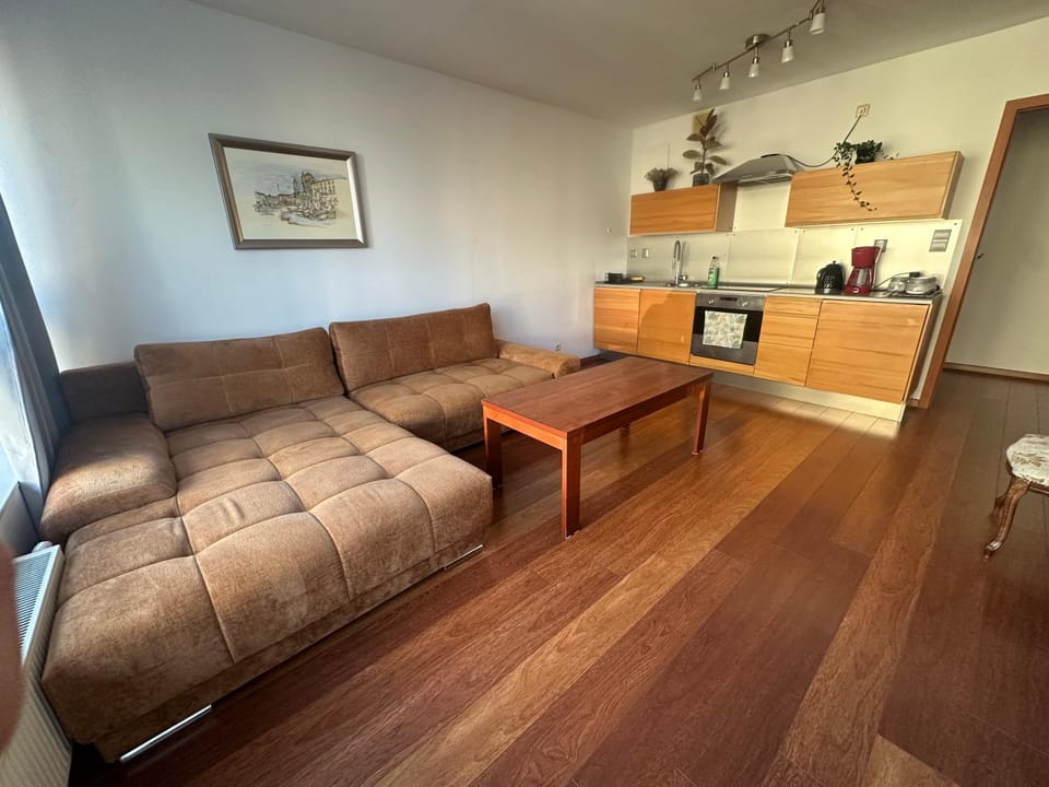 Private Apartment Poznań - Free Parking - Netflix Apartment in Poznan
