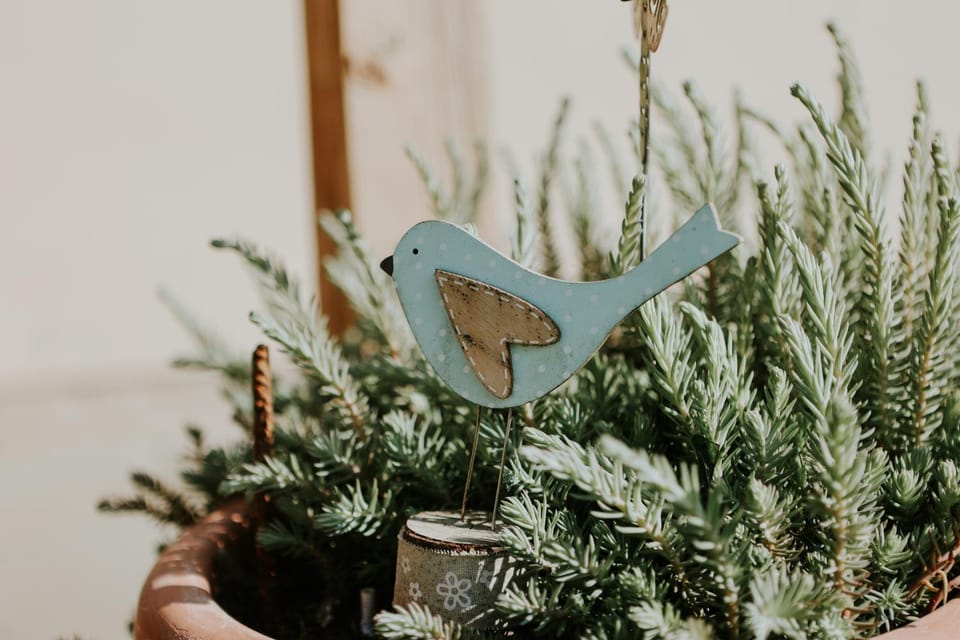 Day, Garden, Garden view