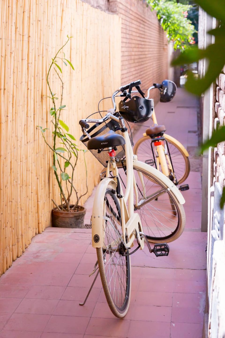 Off site, Cycling