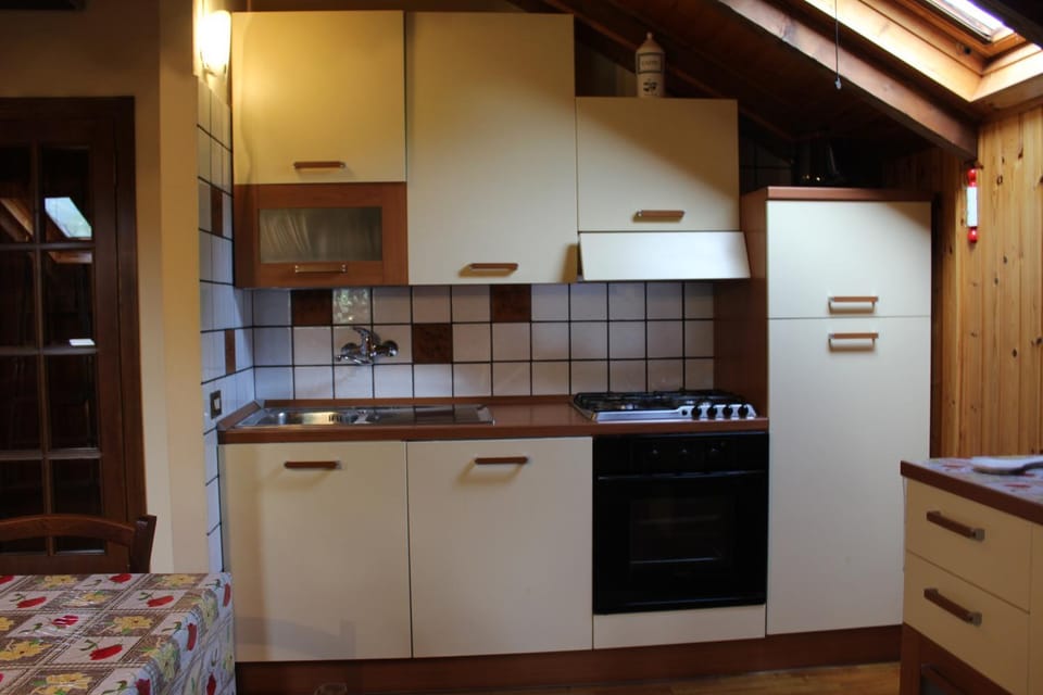 Kitchen or kitchenette, dishwasher, pet friendly, stove
