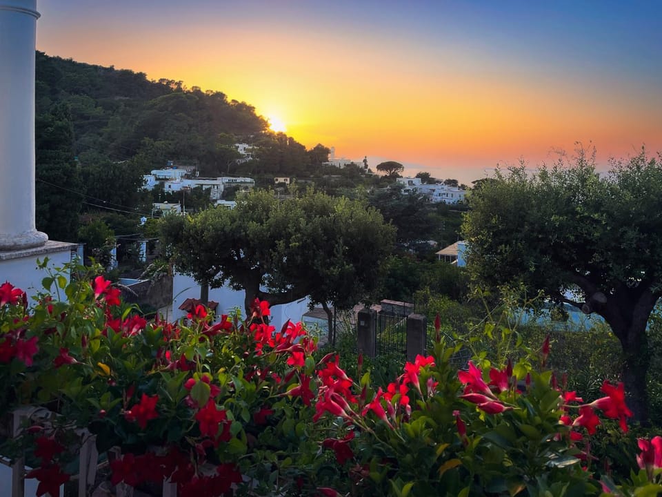 Natural landscape, Sea view, Sunset