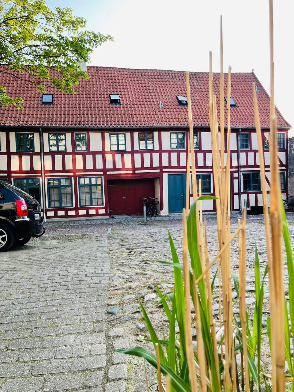 Garden, Garden view, Parking