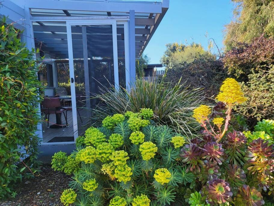 The Dunes - King Studio - 50m from Scamander Beach Apartment in Scamander