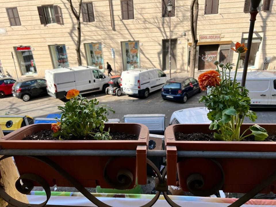 Balcony/Terrace, City view, Street view