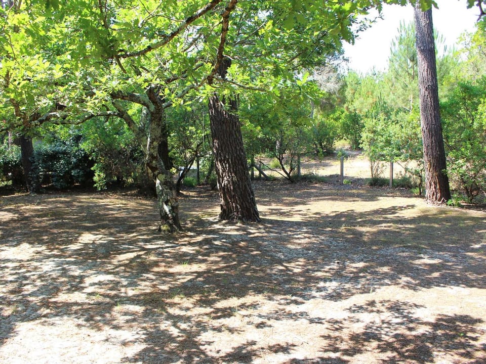 Villa landaise avec jardin proche plages et commerces, 3 chambres, terrasse couverte et barbecue - FR-1-736-10 Villa in Lege-Cap-Ferret