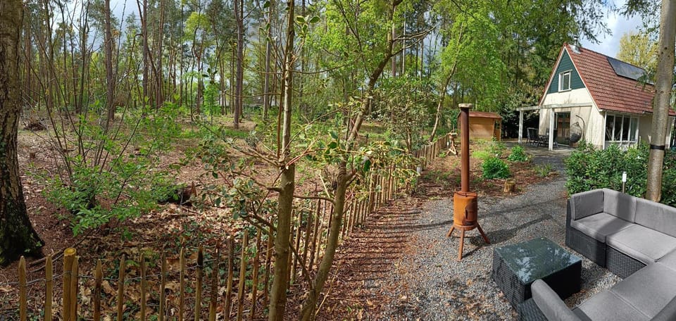 Property building, Natural landscape, Garden