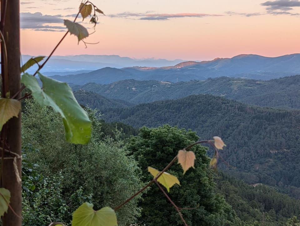 Les chambres de la Bastide Bed and Breakfast in Provence-Alpes-Côte d'Azur