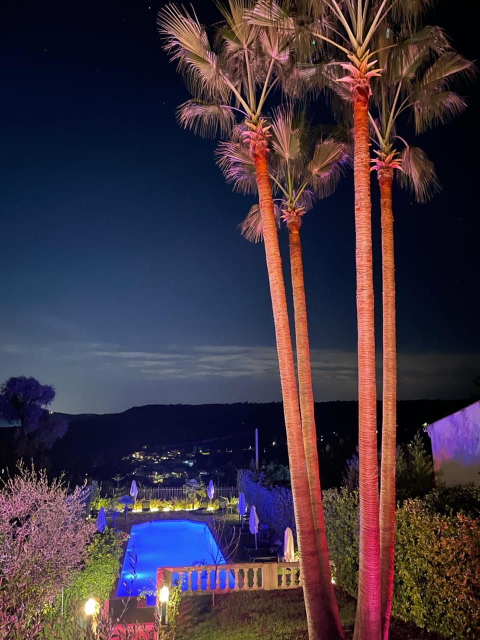 Night, Garden, Garden view, Pool view, Swimming pool