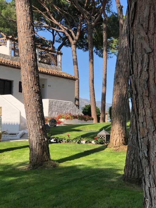 Property building, Spring, Day, Natural landscape, Summer, Garden, Garden, Garden view