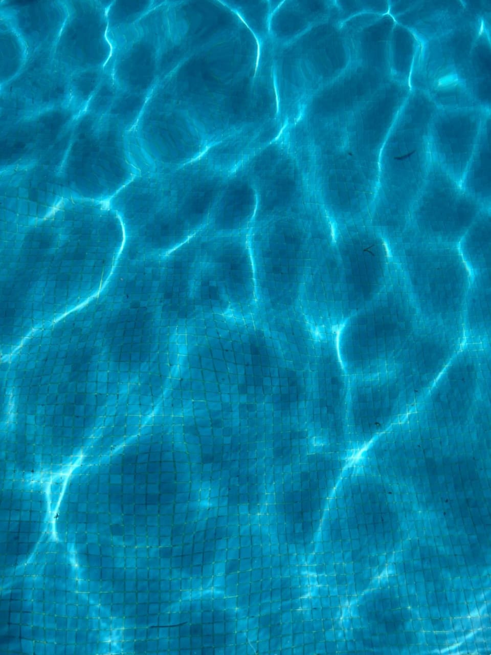 Pool view, Swimming pool, Entertainment