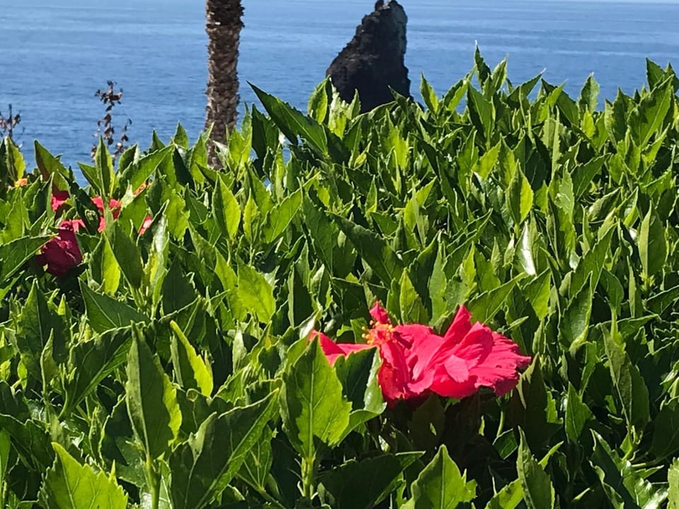 Nearby landmark, Neighbourhood, Natural landscape