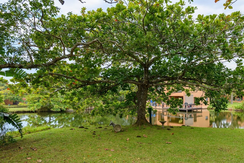 View (from property/room), Lake view
