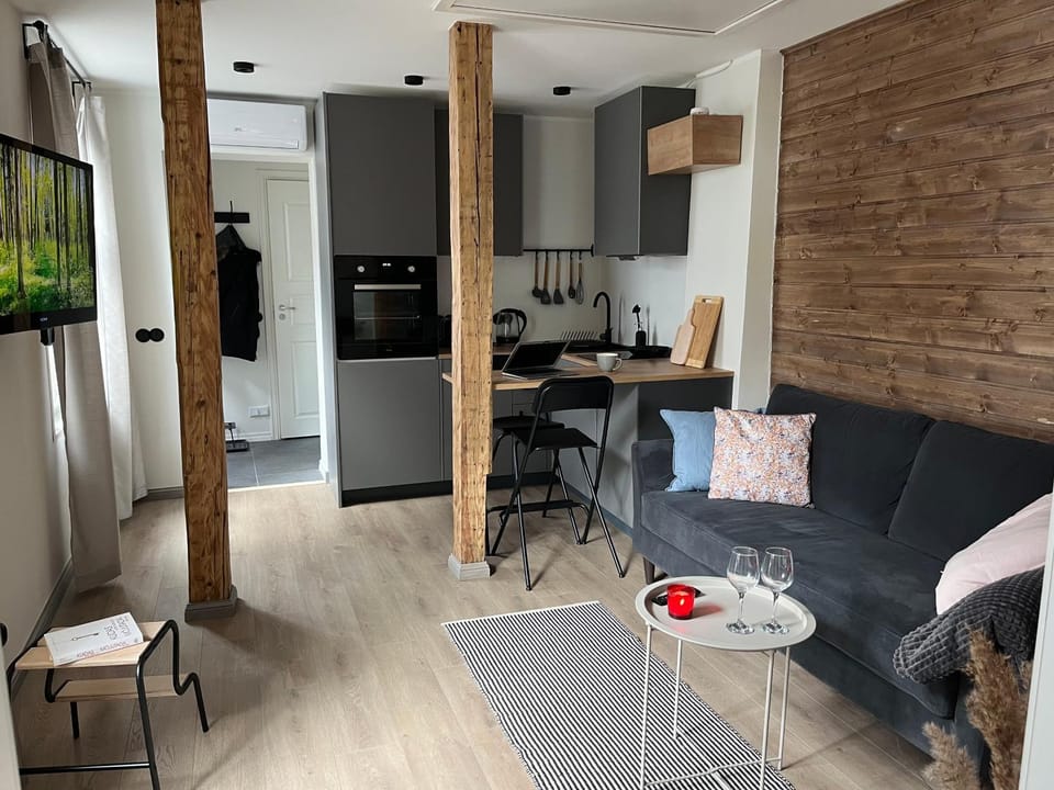 Jannseni Summer House with AC and free private parking Apartment in Estonia