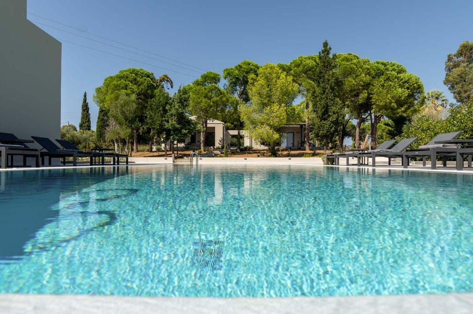 Pool view, Swimming pool, sunbed