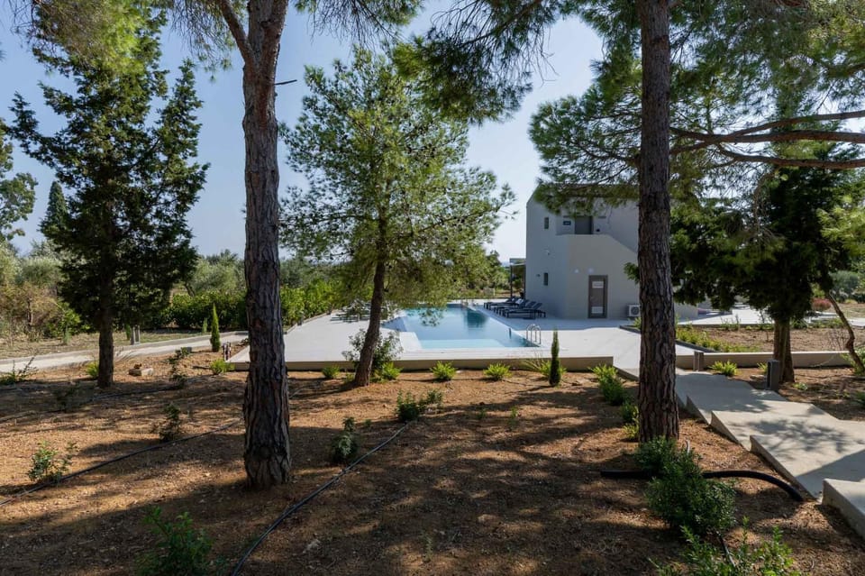 Garden, Pool view, Swimming pool