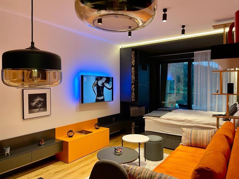 Bed, TV and multimedia, Living room, Seating area