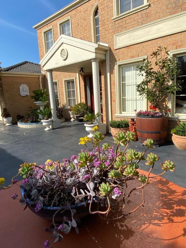 Merrypetch Bed and Breakfast in Dromana