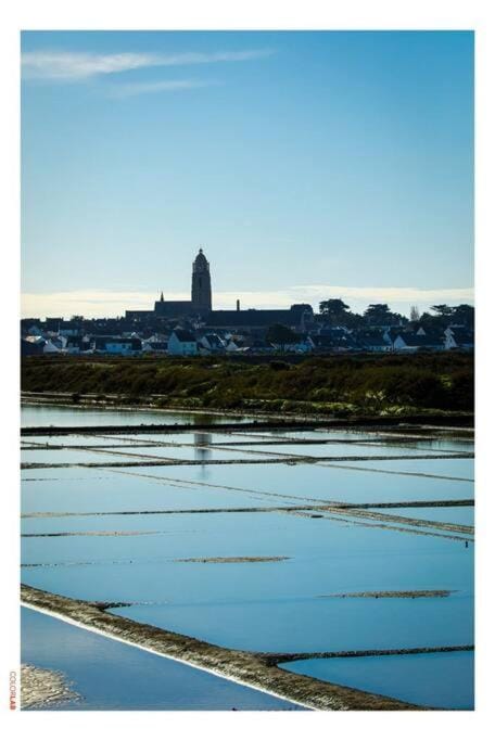 Appartement vue mer & port à La Turballe Apartment in La Turballe