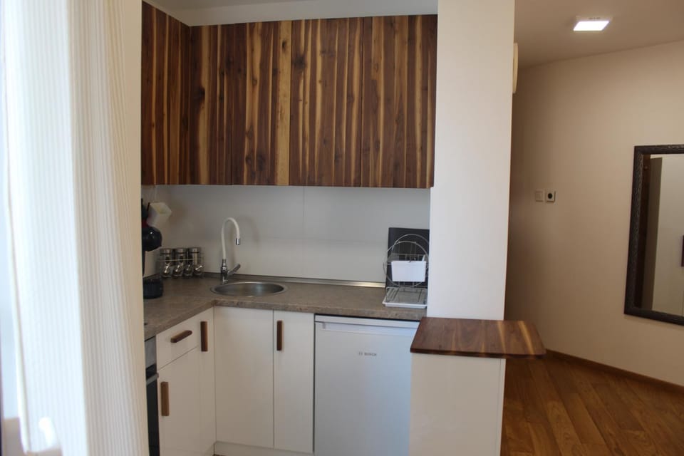 ASJ LUX Apartment Apartment in Novi Sad