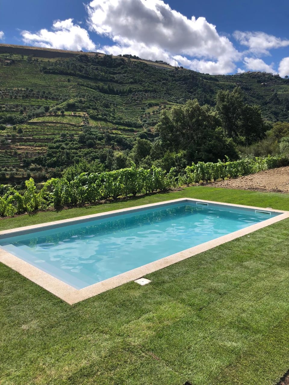 Quinta do Enxertado Villa in Vila Real District