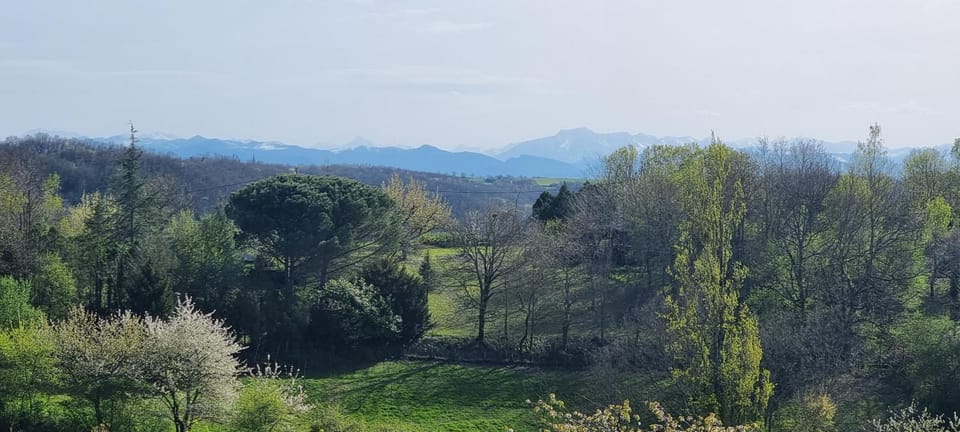 Mountain view