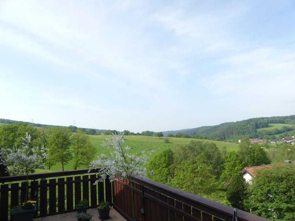 Natural landscape, View (from property/room), Balcony/Terrace