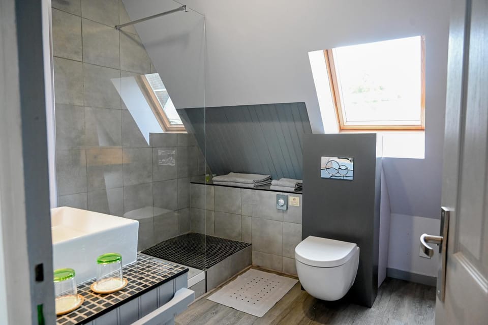 Shower, Toilet, Bathroom, towels