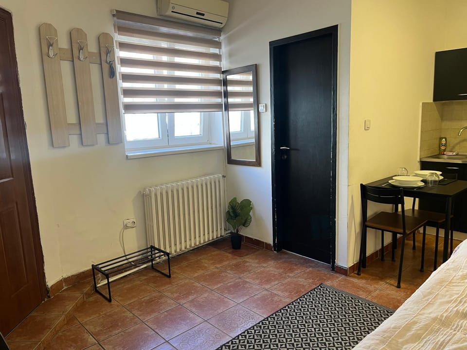 Studio Vracar Apartment in Belgrade