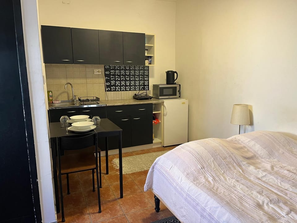 Studio Vracar Apartment in Belgrade