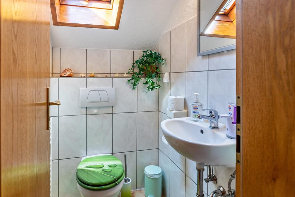 Bathroom, Living room