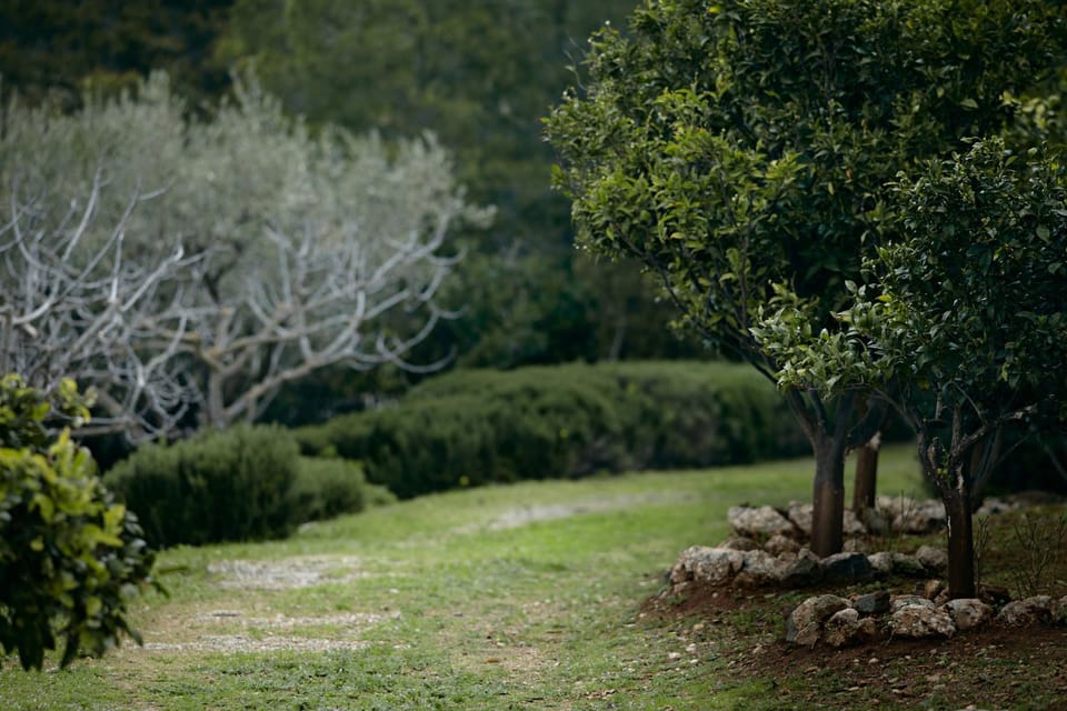 Spring, Garden, Garden view