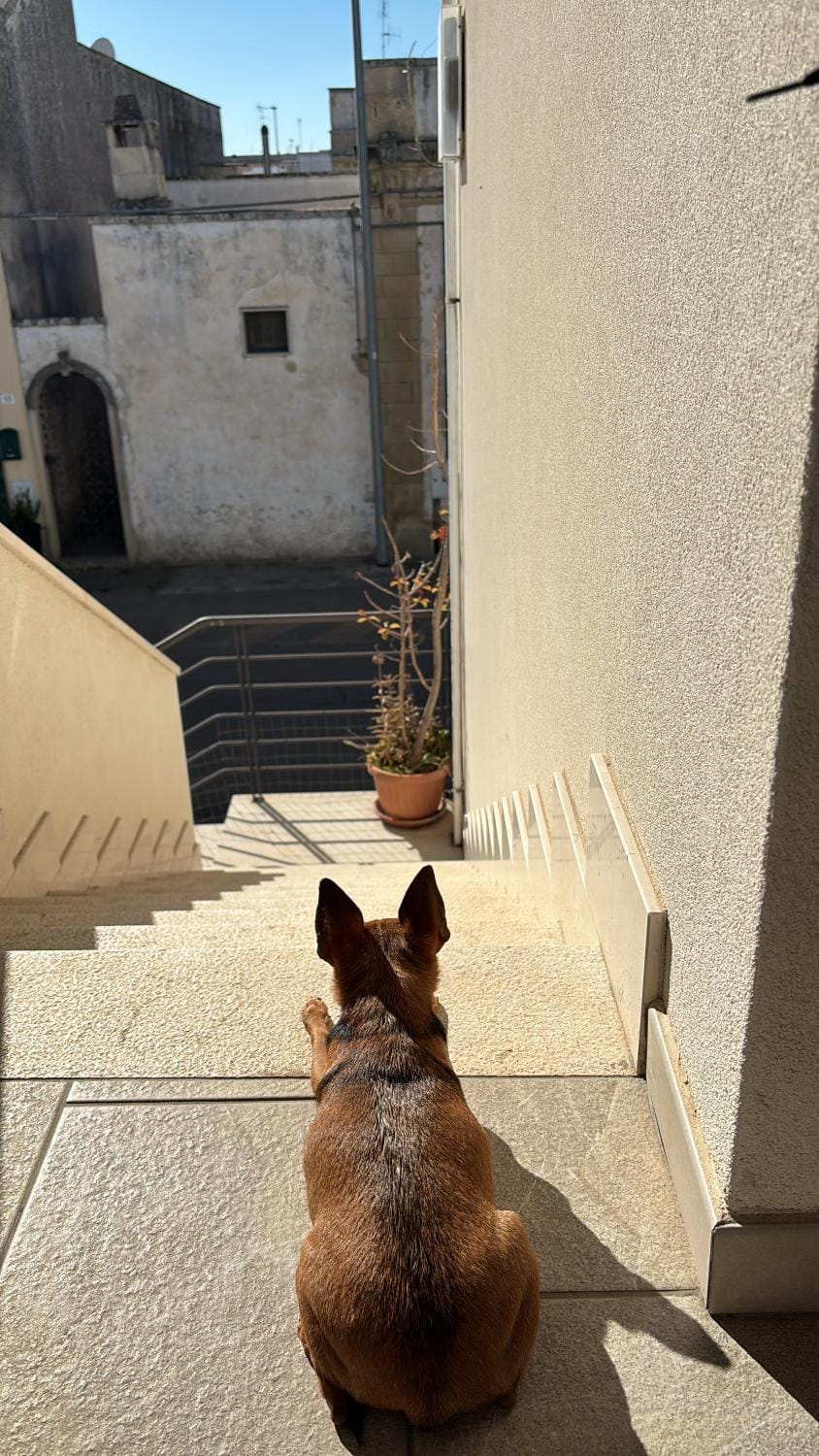 Soami’s House Apartment in Apulia