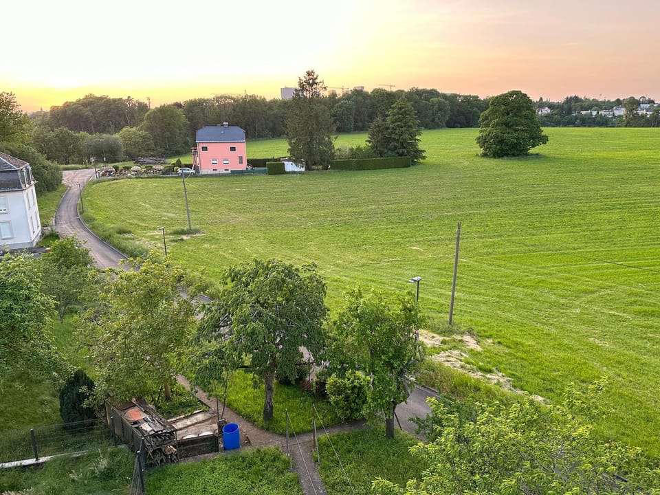 Garden, Garden view, Sunrise