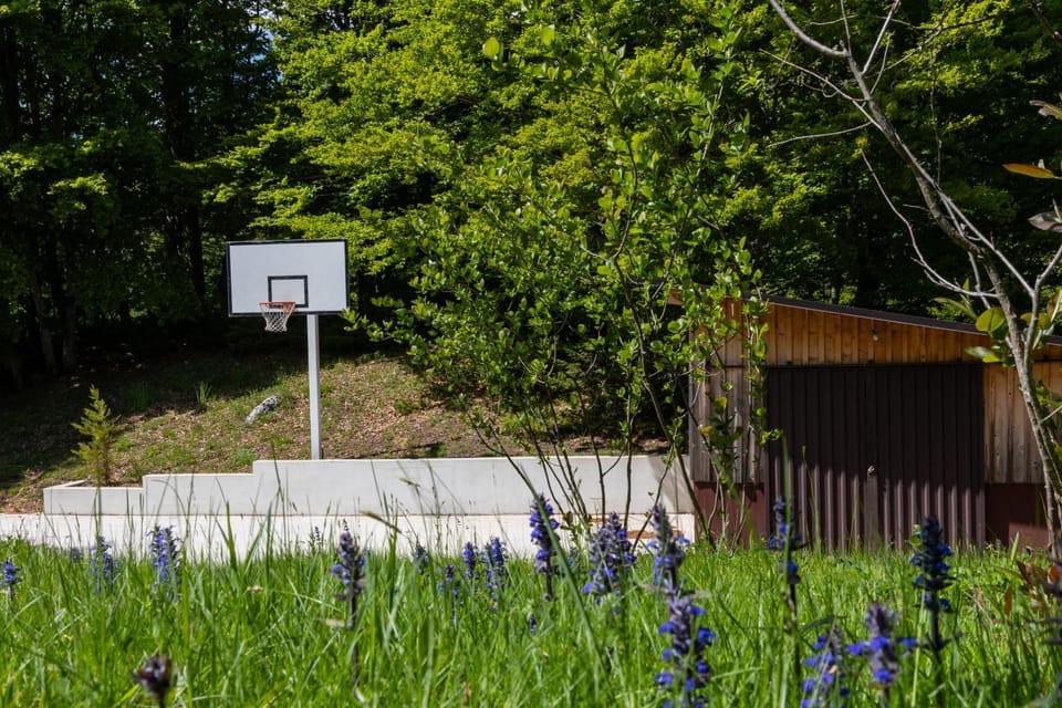 Spring, Day, Garden, Garden view