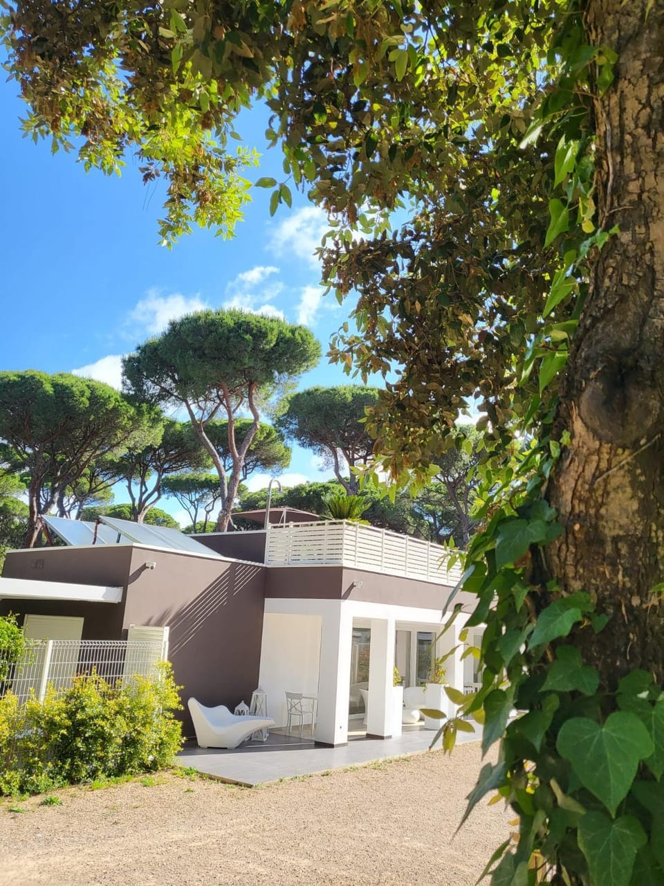 Property building, Garden, Garden view