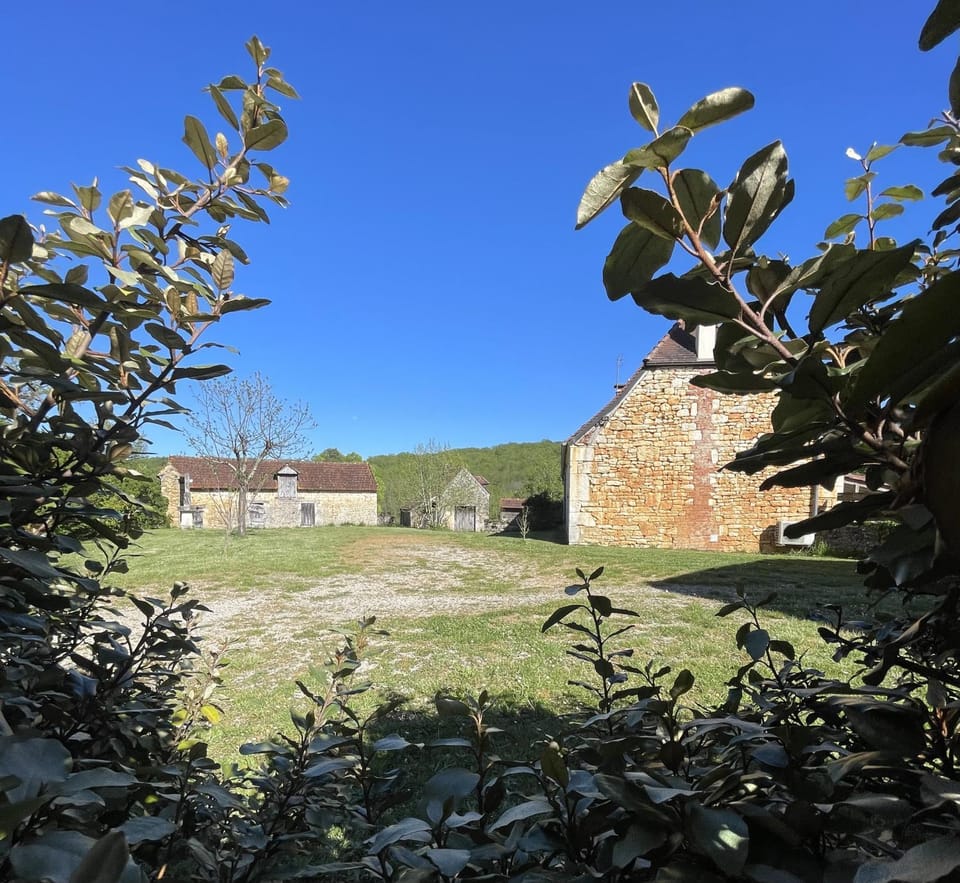 Garden, View (from property/room)