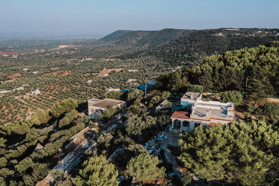 Day, Natural landscape, Bird's eye view, Garden, Balcony/Terrace, Mountain view