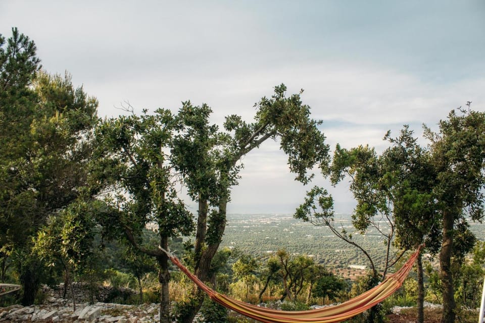 Natural landscape, Garden, City view, Mountain view