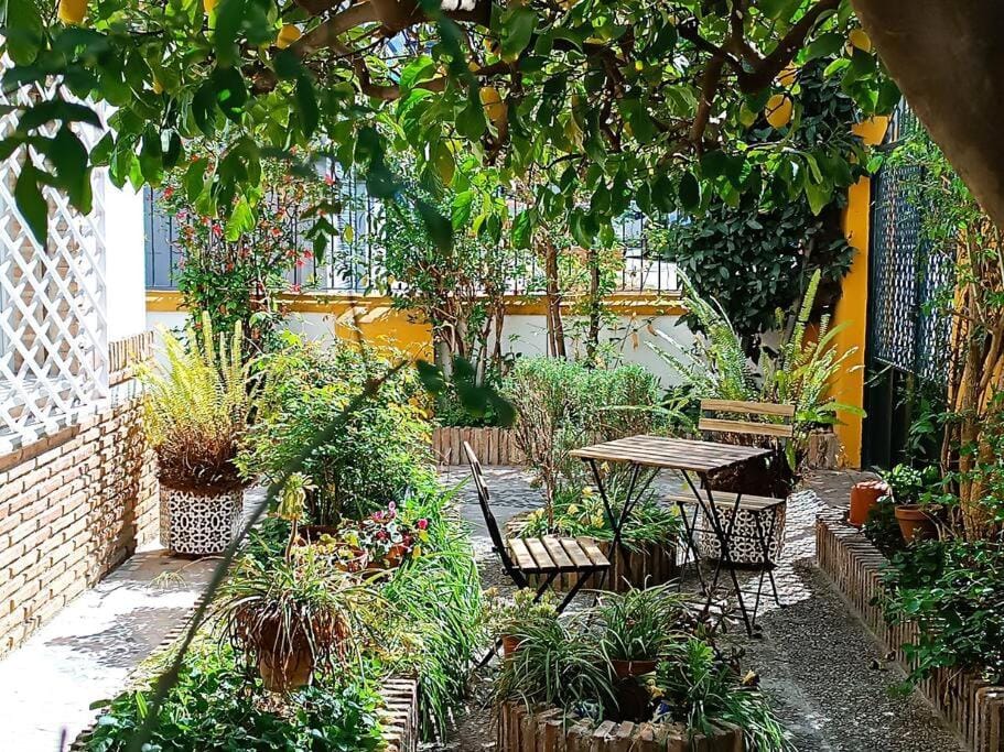 Garden, Garden view