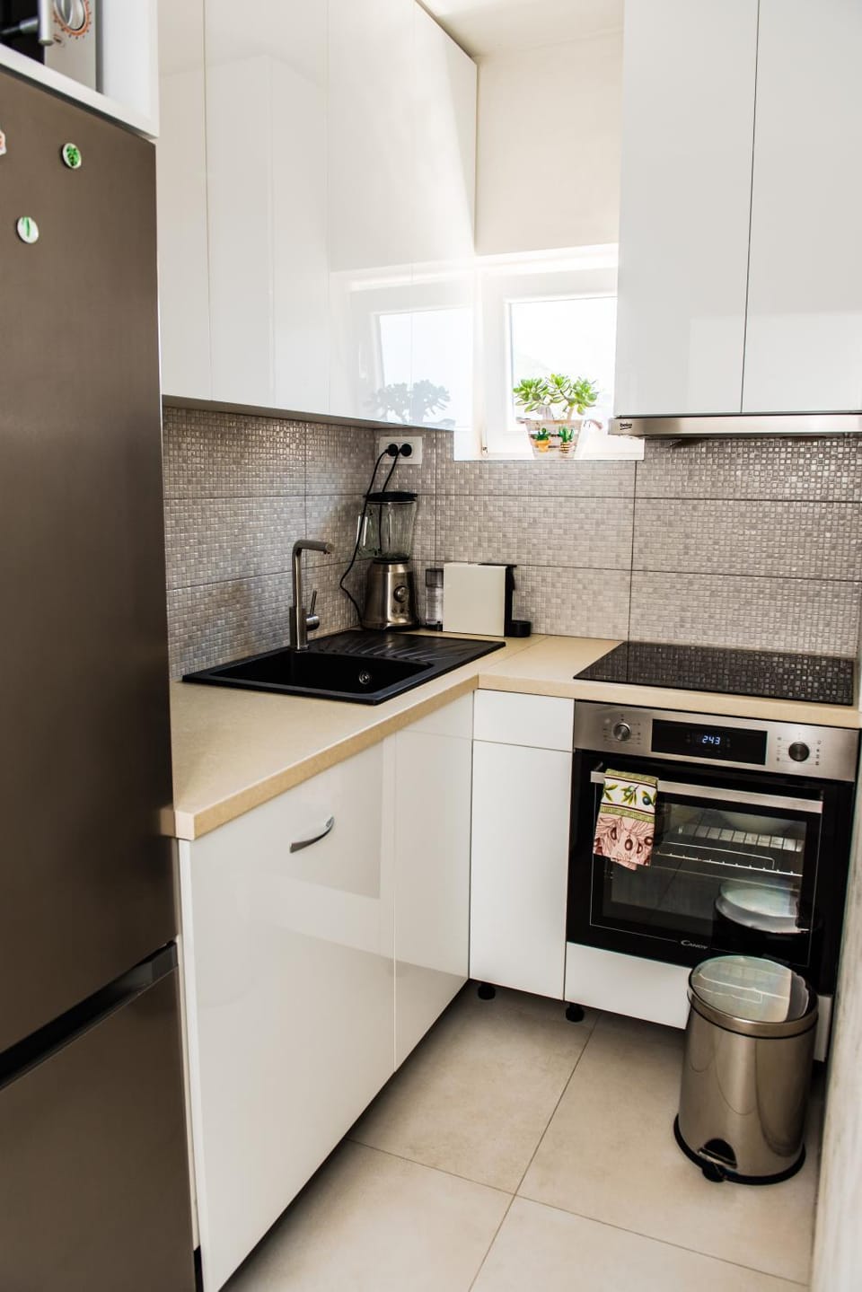 Coffee/tea facilities, Kitchen or kitchenette, dishwasher, minibar, pet friendly