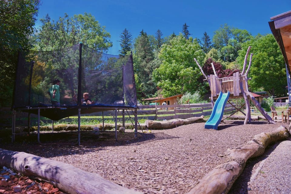 Children play ground, Animals, Area and facilities