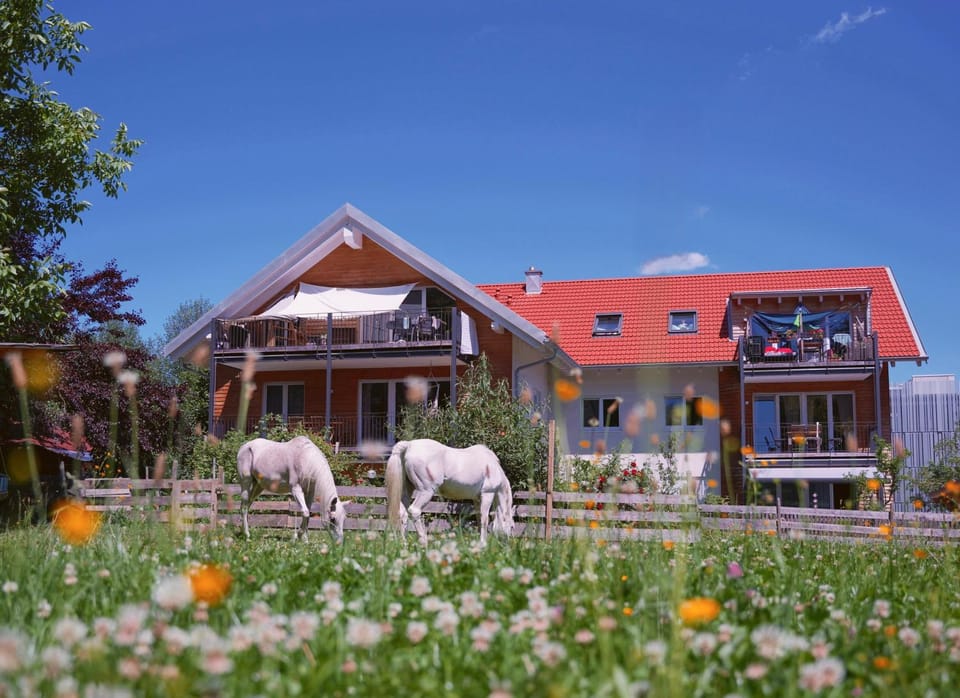 Property building, Day, Summer, View (from property/room), Animals, Pets, Garden view