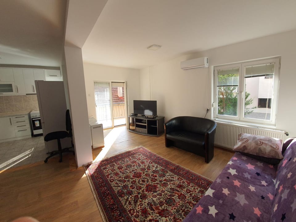 Big apartman - Free parking Apartment in Serbia