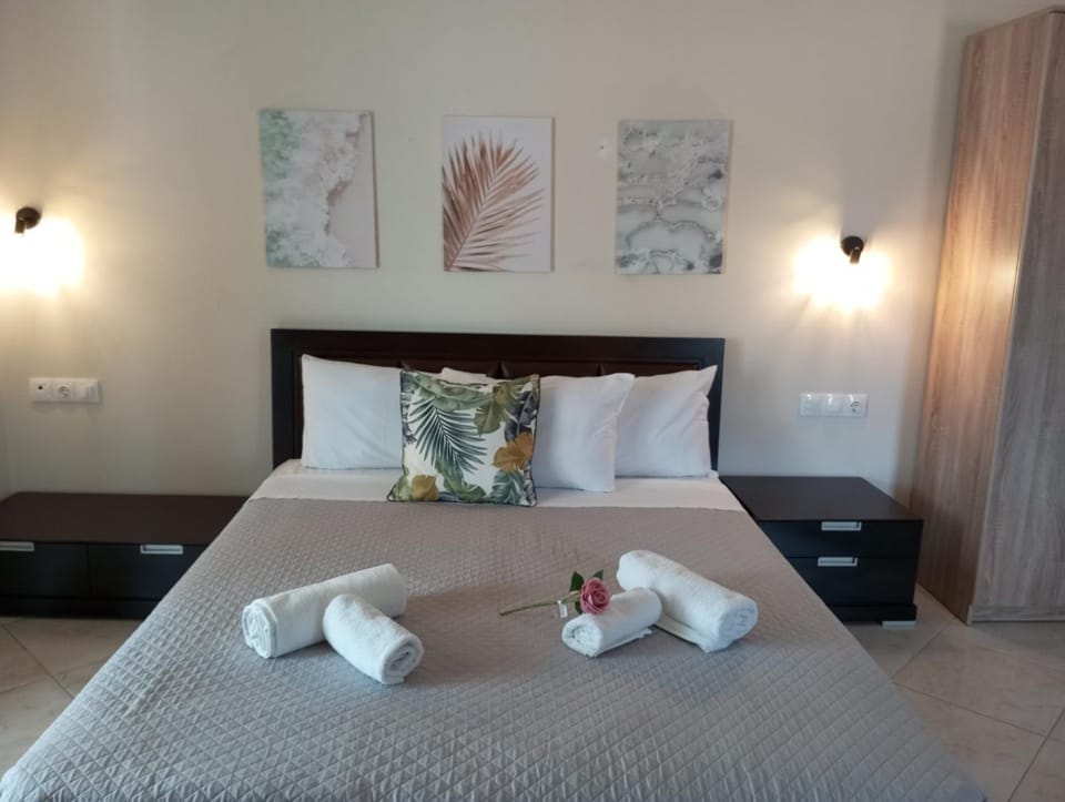 Olga Apartment Apartment in Moraitika