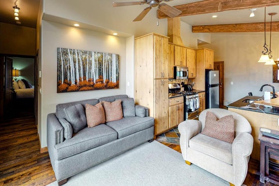 Snowmass Village 19E Apartment hotel in Snowmass Village