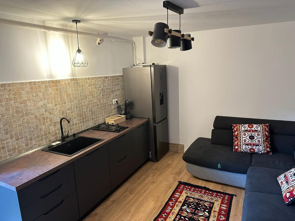 Kitchen or kitchenette, Living room, oven, stove