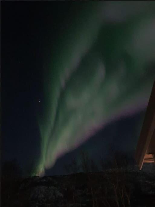 Northern lights central apartment Apartment in Nordland, Norway