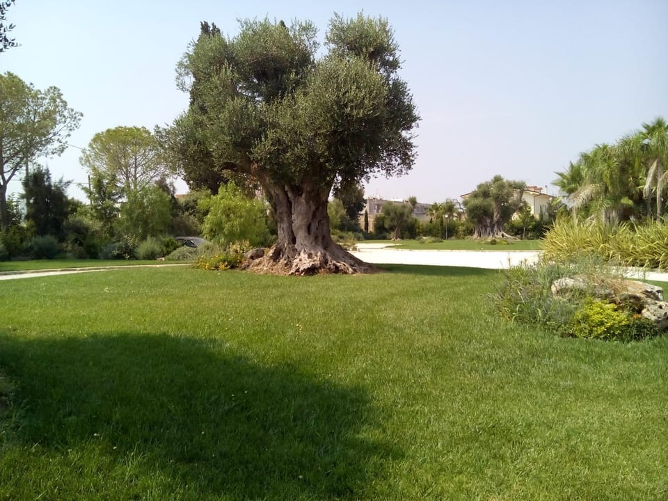 Relais Marchesi Imperiali B&b Bed and Breakfast in Province of Taranto