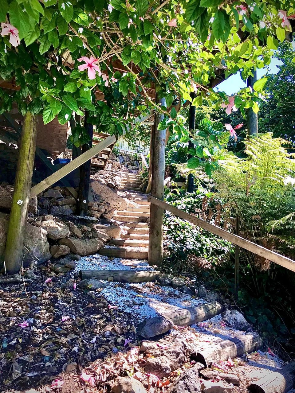 Hatea Treehouse House in Whangārei